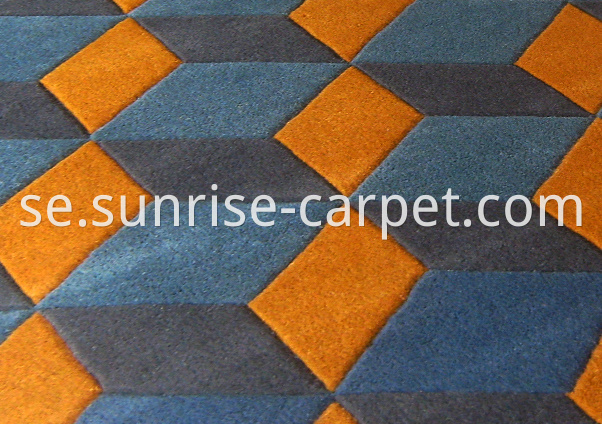 Hand Tufted Carpet